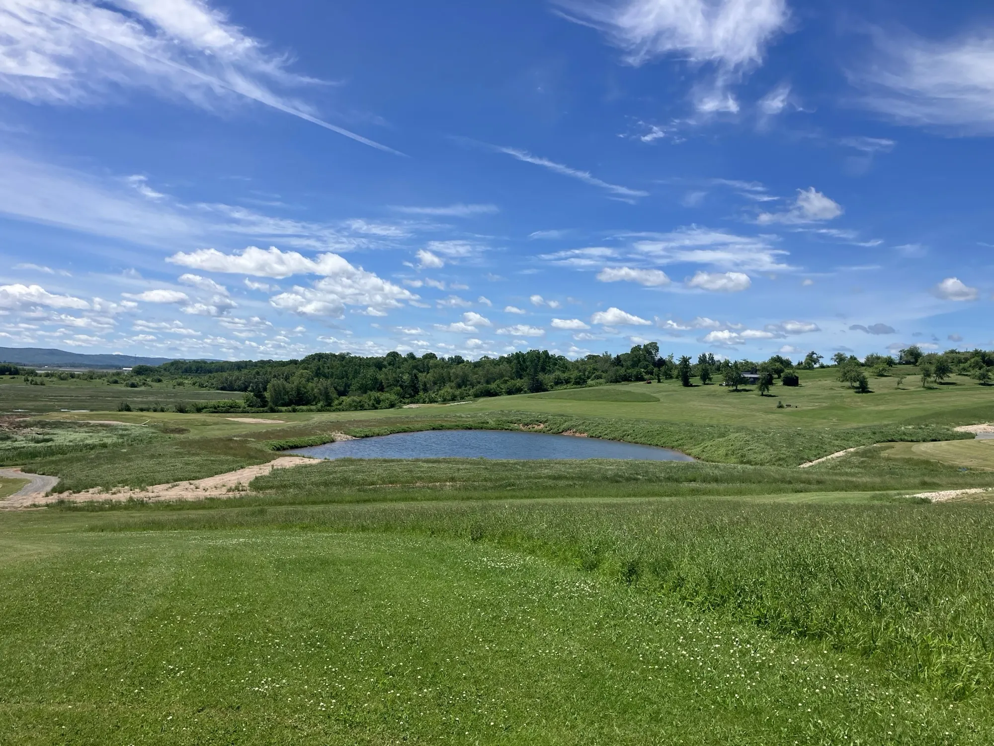 Finished pond shaped into a green landscape